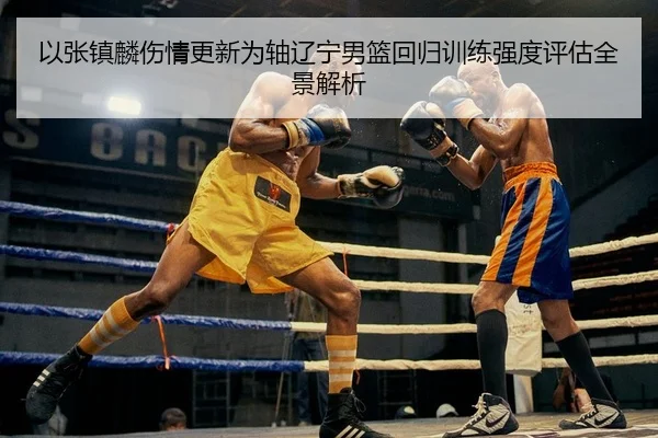 yi-zhang-zhen-lin-shang-qing-geng-xin-wei-zhou-liao-ning-nan-lan-hui-gui-xun-lian-qiang-du-ping-gu-quan-jing-jie-xi-2-952.jpg